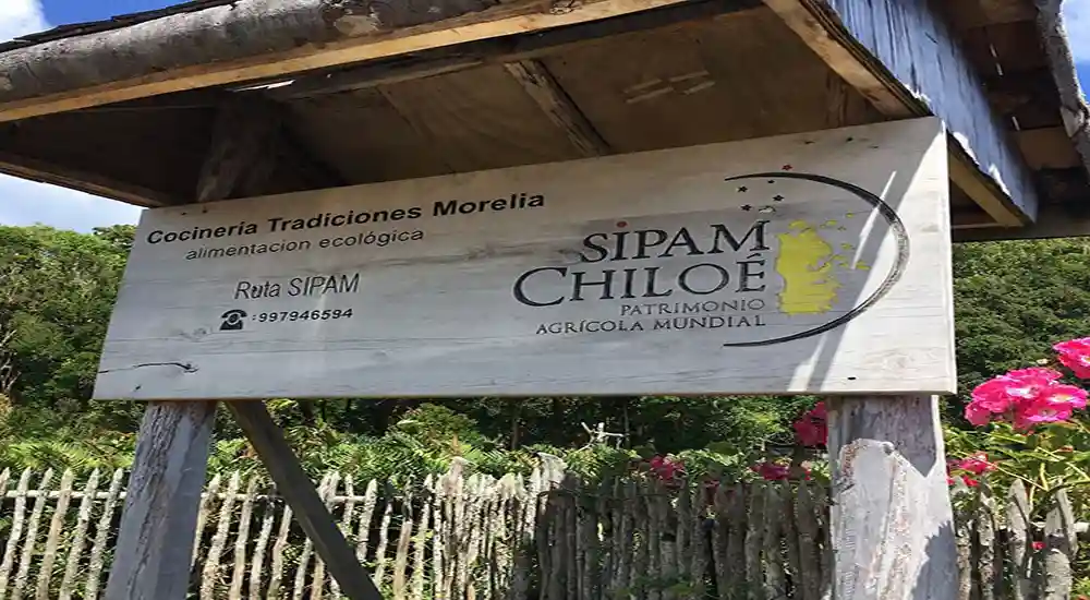 TRADICIONES MORELIA 03